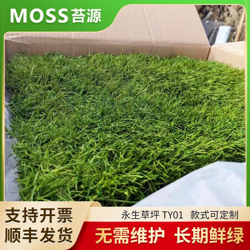 苔源 仿真苔藓草皮永生苔藓微景观造景橱窗装饰仿真树皮假绿植