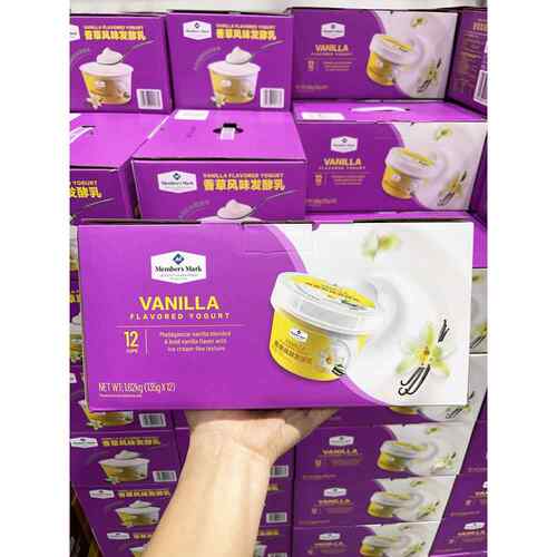 杭州山姆会员店椰子风味香草风味发酵乳生牛乳酸奶冰淇淋冷藏发货