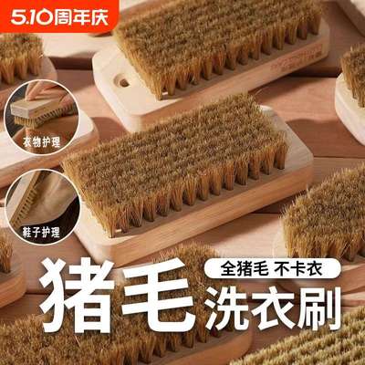 毛刷洗衣专用刷刷衣店服软猪毛新款板刷毛刷猪干洗家用洗洗刷子鞋