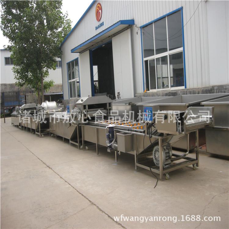 连续式速冻豆角加工设FX-800备 处速冻菜前蔬生理产线 sus304加工