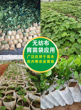无纺布育苗批发降解容器热销花瓶