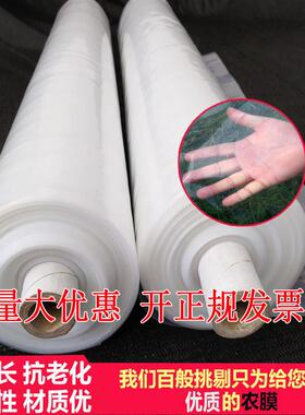 2米2.2米2.5米3米4米5宽2丝4丝PE塑料薄膜加厚大棚膜防雨布包装膜
