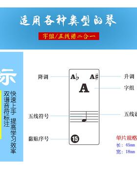 直销新款X-01Z字母款透明钢琴音阶贴纸37键电子琴键贴 49/61/88键