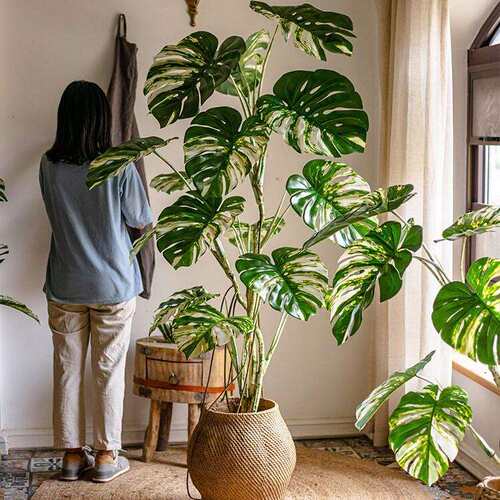 花叶龟背竹假树白锦仿真植物盆栽大型仿生绿植客厅摆件轻奢风造景
