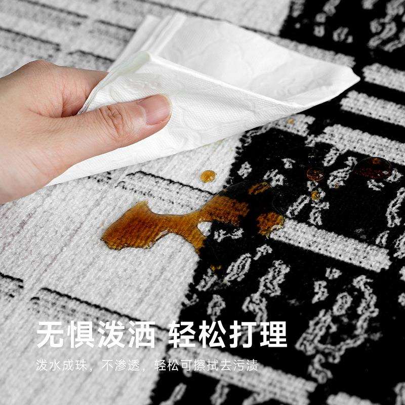 毯客厅新地款耐脏易20240703打理圈绒卧室沙毯防水防污黑发色毯地