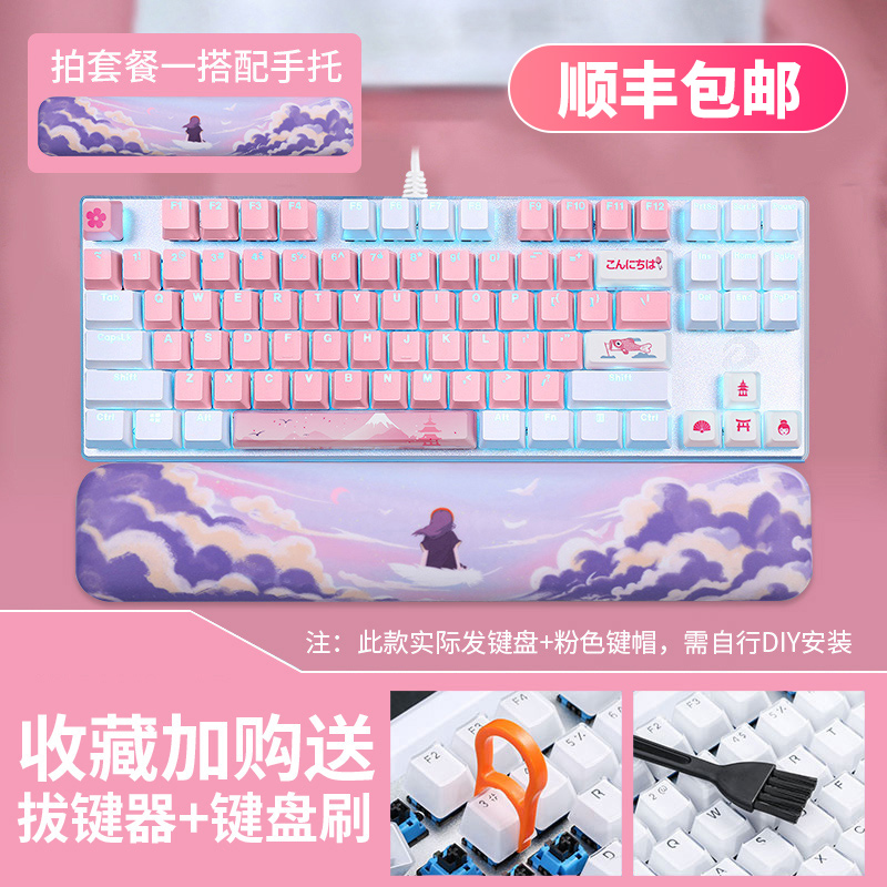 包顺丰达尔优机械键盘ek815黑青红茶轴有线发光游戏办公家用女生