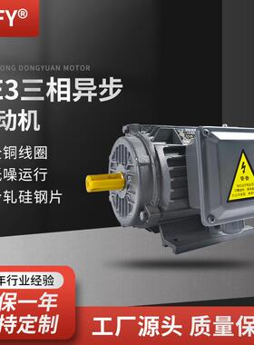 YE3三相异步电动机YE3-250M-4极电机380V55W1480r/min马达