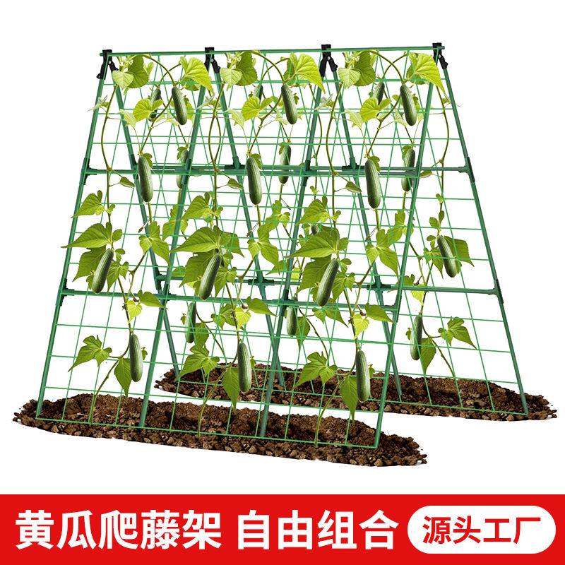 菜园瓜果搭棚架子黄瓜豆角西红柿爬藤支架庭院种菜植物攀爬支撑杆