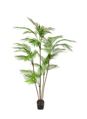 栽仿绿真绿植散散尾葵假绿植迷你葵盆带盆尾葵客厅YS-06121植仿真