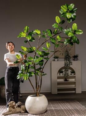 孟加拉榕树彷真绿色植物室内高级假树造景观摆件彷生植物落地盆栽