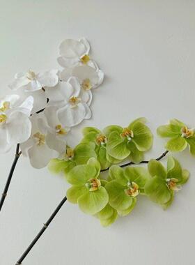 质8头仿真白色绿色蝴蝶兰 软装花艺设计装置拍摄道具家居样板间