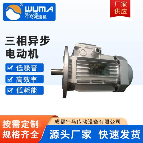 YE2-6324-B5-0.18W三相异步电机成都午马传动设备有限公司厂家直