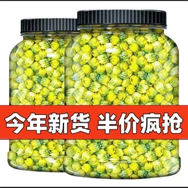 2024新货桐乡胎菊菊花茶杭白菊贡菊罐装凉茶熬夜花草茶叶枸杞