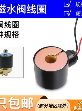 2W025-08 2W160-15电磁阀水阀线圈紫铜AC220V DC24V/12V开关控制
