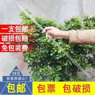 玻璃取样管1.2米实验室油桶油类液体取样管60cm闭口采样管移液管