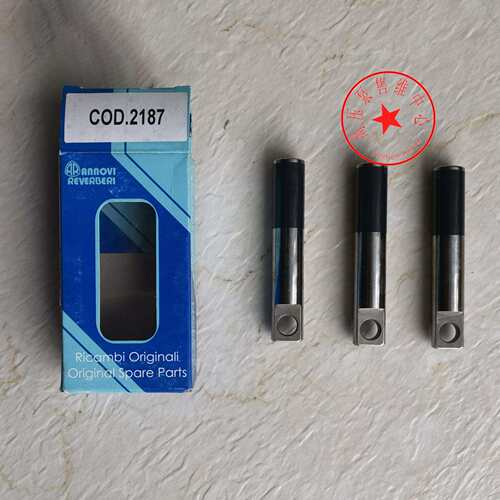 CODE 2187 喷瓷柱塞 RSV4G40 意大利AR水泵