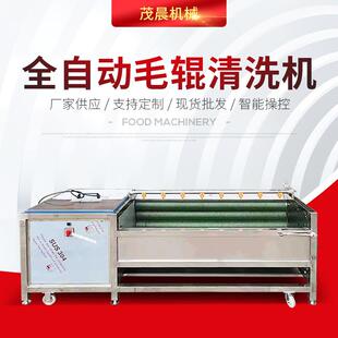 供应根茎类蔬菜涡流清洗机 芋头毛刷清洗机 土豆毛辊清洗分选机
