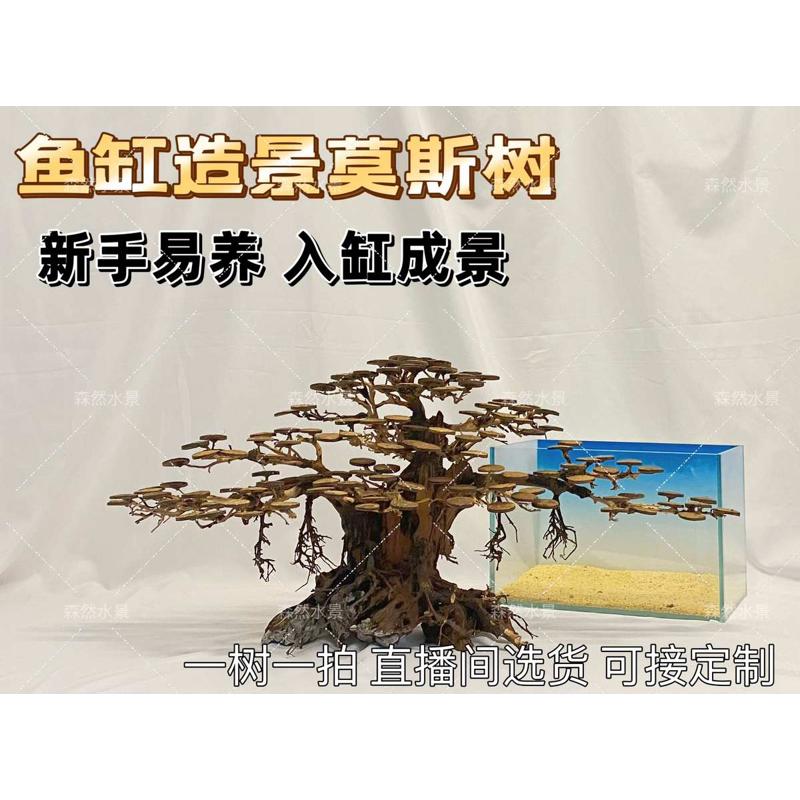 莫斯树迎客松造景鱼缸造景莫斯树成品骨架制作全尺寸订做一树一拍