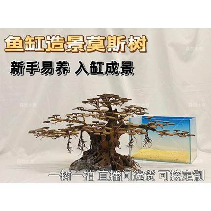 莫斯树迎客松造景鱼缸造景莫斯树成品骨架制作全尺寸订做一树一拍