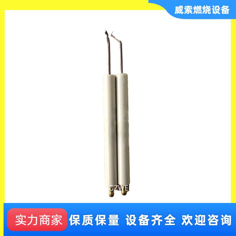 点火棒 扎克燃烧机HM30电极 德国工业锅炉附件