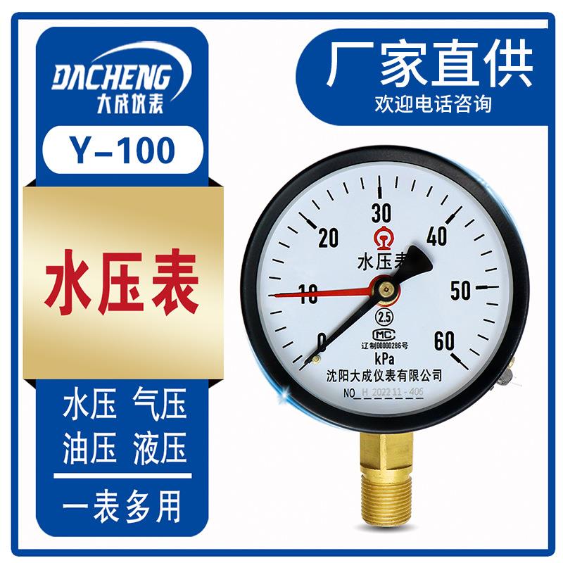 水压表100生产大成仪表种类多样