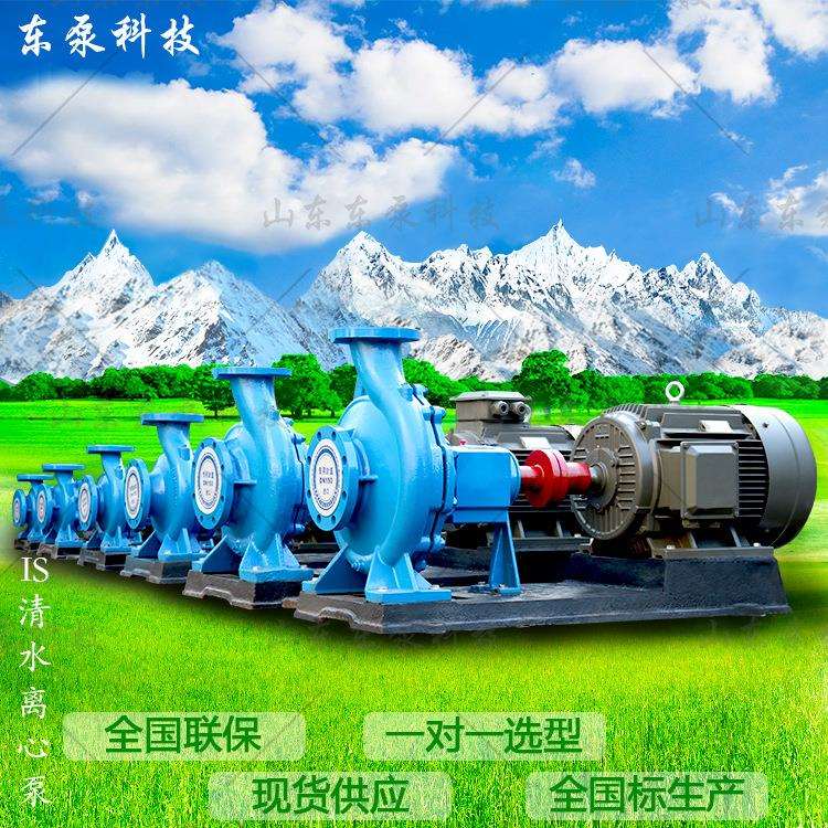 山东东泵IS卧式重型工业泵大流量端吸泵温清水泵生产厂家