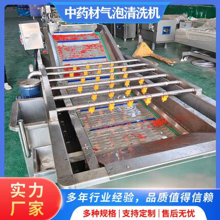 鱼腥草清洗机果蔬清洗风干流水线桔梗气泡清洗机百部药材清洗机