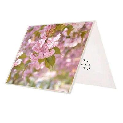 Talking Product, Writeable Greeting Card, 30 Seconds
