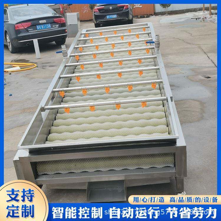 平行毛辊清洗机芒果清洗设备变频调速佳圣特机械