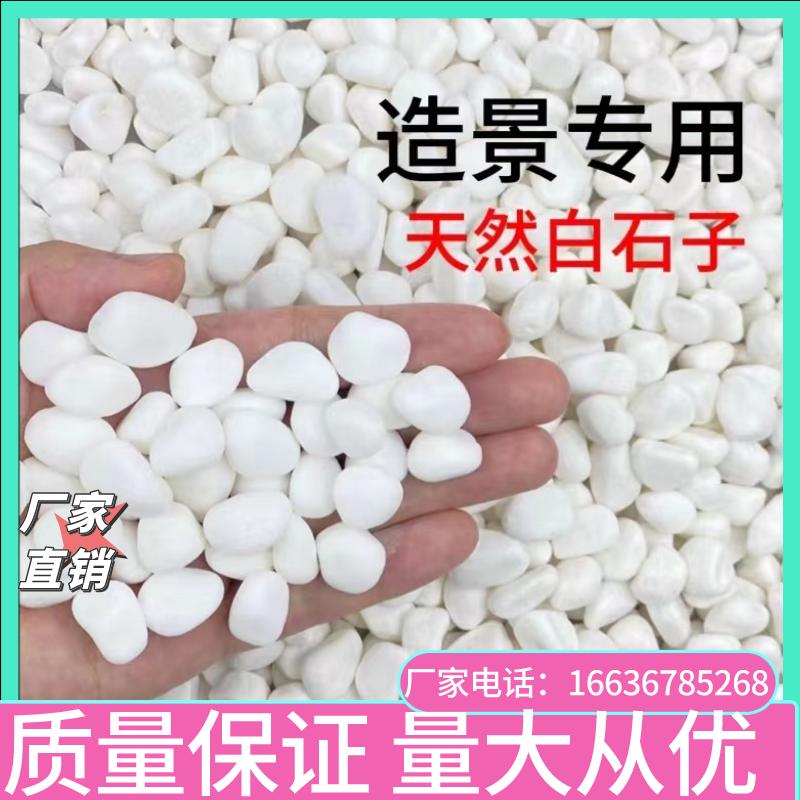 湖北40斤白色石子鹅卵石铺路原石庭院造景石头景观装饰砾石碎石