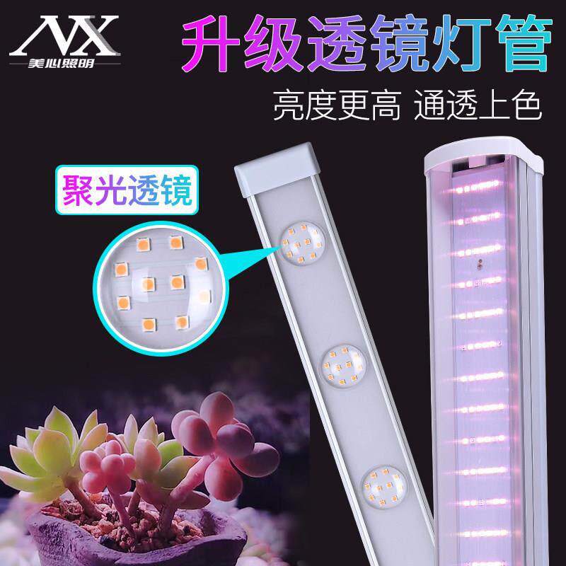 红太氧植物灯生长灯全光谱仿太阳室内家用花卉绿植上色多肉补光灯