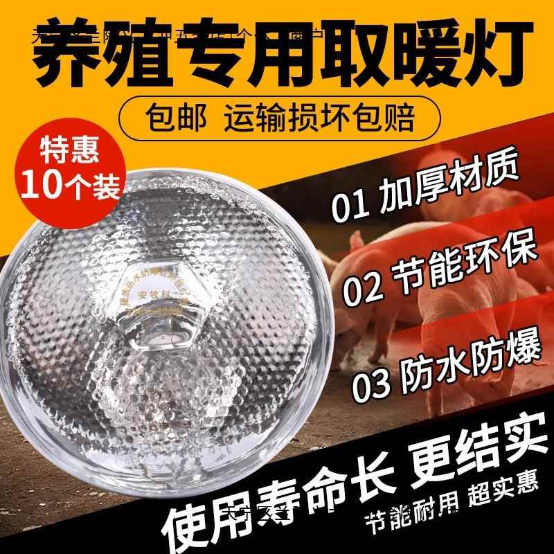 保温灯猪用仔猪保暖灯小鸡育雏保温灯养殖场取暖灯泡加热烤灯