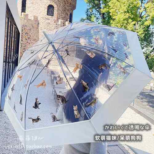 小清新网红日系可爱猫咪狗狗印花抗风轻量自动长柄透明雨伞男女