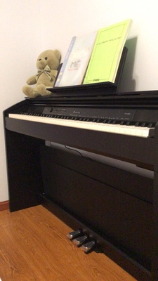 评测点评老师推荐用的卡西欧电钢琴PX