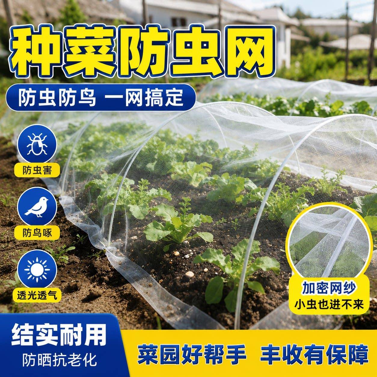 防虫网种菜专用抗老化100目防虫网大棚纱网果树防蚊网罩防蚊虫网