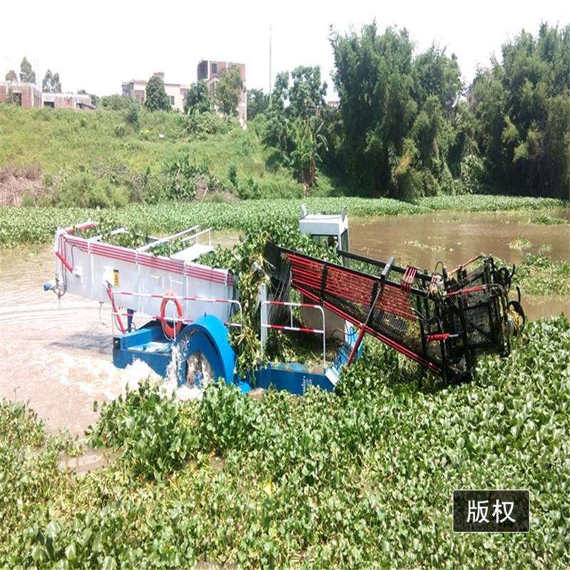 湖面清漂船水草收割粉碎打包卸载一体船配件全自动河道清理割草船
