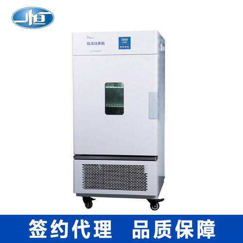 上海一恒LRH-250CB低温培养箱微生物培养箱250L负40度低温保存箱