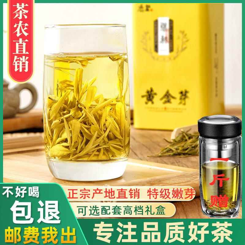 正宗黄金芽茶叶2025年新茶安吉春茶特级白茶绿茶250g礼盒装黄金茶
