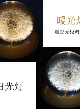 正品蒲公音标晶本树脂水球植物摆件滴胶成品永生花镇纸乐英盒小夜