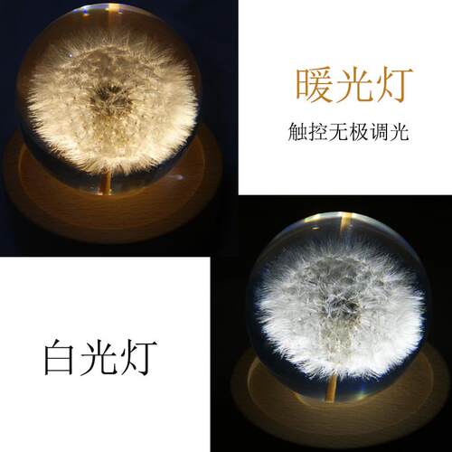 高档公英标本树脂水晶球植摆件蒲滴胶成永生花镇纸品音物乐盒小夜