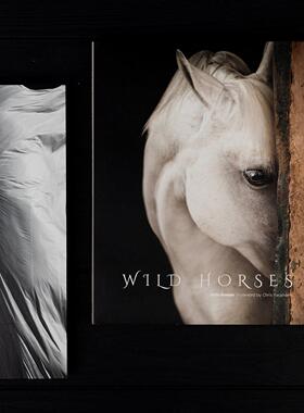 马装饰真正的书装饰品样板房售楼处书咖啡桌客厅摄影道具黑白中国