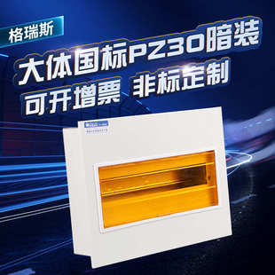 临沂厂家大体国PZ30暗装 空气开关盒 回路箱 家用弱电箱配电箱