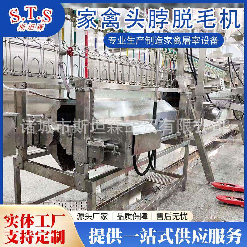 新款变频调速式家禽头脖脱毛机家禽屠宰流水线自动打脖毛机