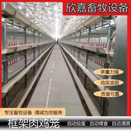 框架肉鸡笼全自动鸡舍养殖厂鸡舍层叠式设备大容量后热镀坚固耐用