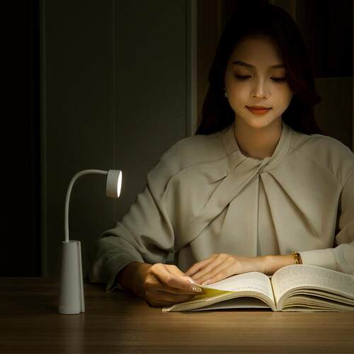 创意磁吸灯小夜灯充插两用学生宿舍床上用学习阅读软管小台灯