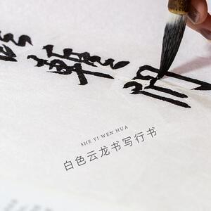 手工云龙宣纸国画四尺六尺构皮纸仿古半生熟麻纸篆隶楷行草用颜料