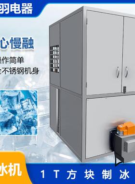 广东创羽工业462用日产吨1方块制冰机大型制粒冰颗机食品小冰块机