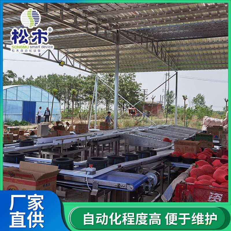哈密瓜玲珑蜜瓜分选机结实耐用使用寿命长全自动水果分拣机