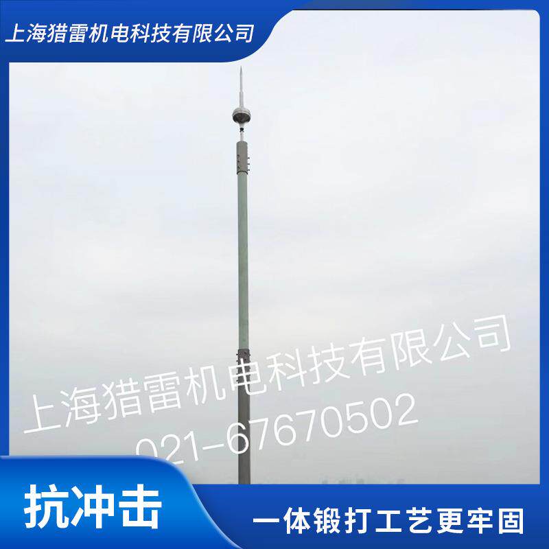 绝缘避雷针玻璃钢避雷针绝缘升降杆雷达避雷针碳纤维防干扰避雷杆