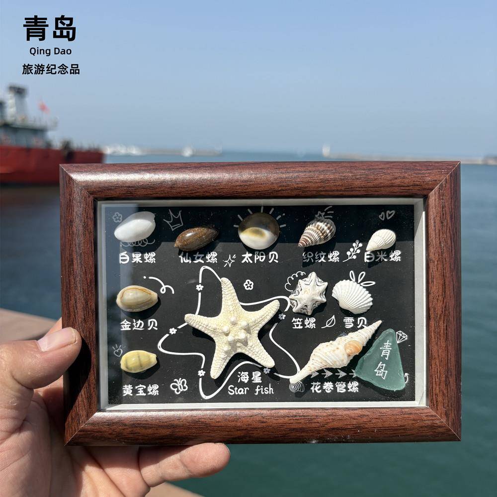 青岛海边旅行纪念贝壳装饰画文创旅游纪念品海螺海星标本摆摊拿货